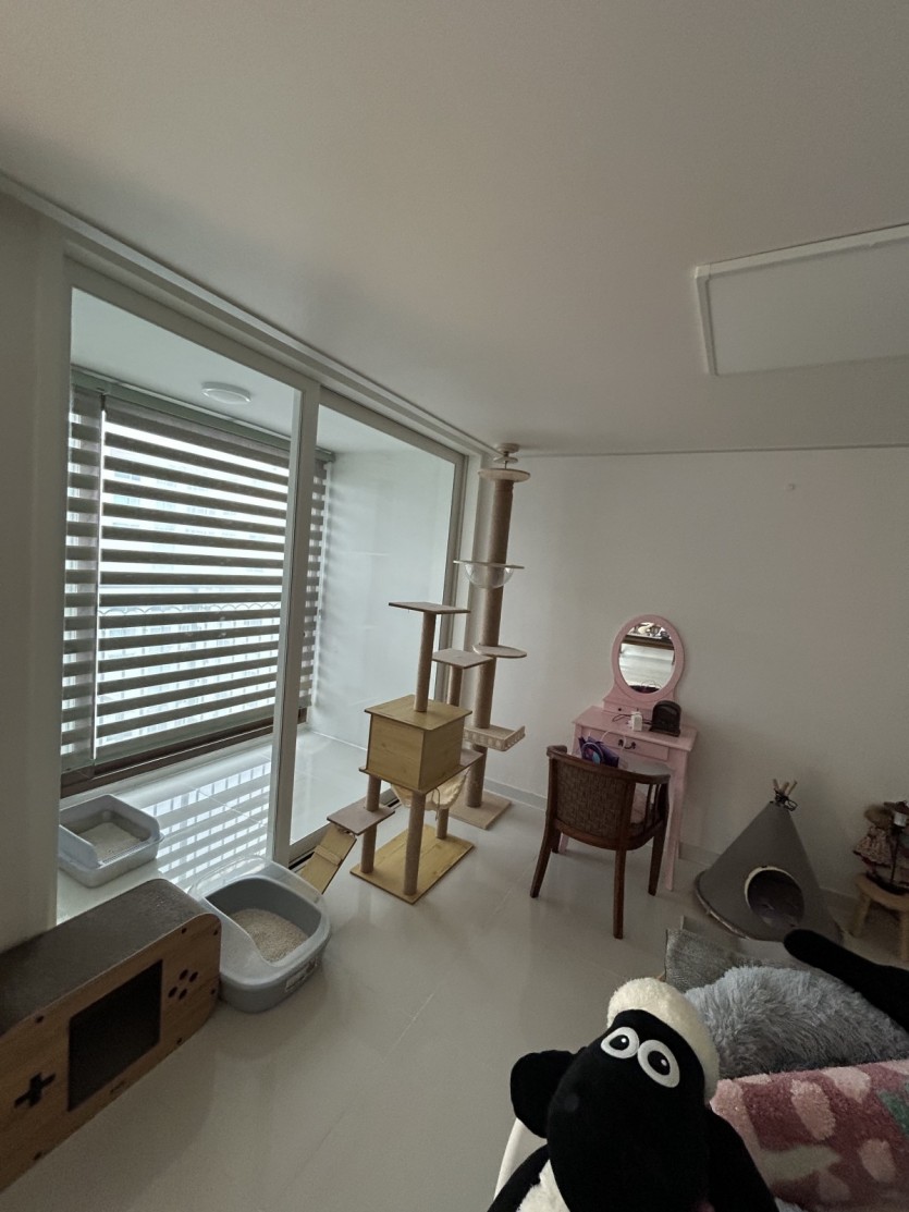 e05815c12889b9994446f8f1ca0b8712_1784194469_2263.jpeg